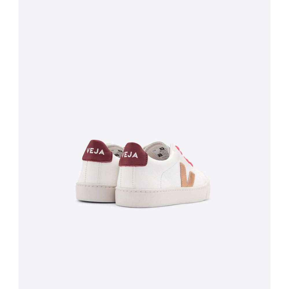 Veja ESPLAR LEATHER Kids' Sneakers Gold/Red/White | NZ 810OKI